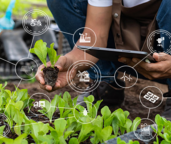 Productor con un plantín y una tablet entre cultivos, con íconos de agricultura conectada