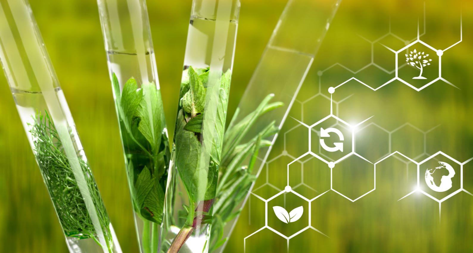 Tubos de ensayo con extractos vegetales e íconos de química — investigación agroquímica